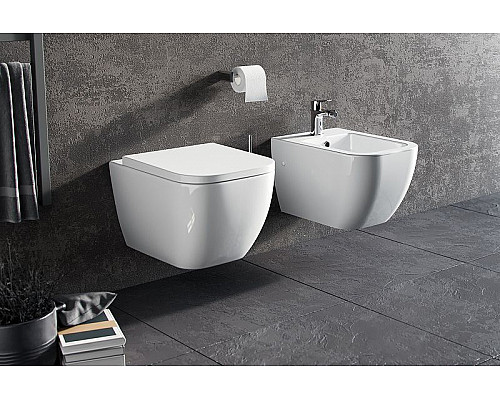 Santeh-Crystal.ru: Унитаз Excellent Ness CENL.3509.500.WH подвесной с сиденьем Микролифт Купить Унитаз Excellent Ness CENL.3509.500.WH подвесной с сиденьем Микролифт в магазине сантехники Santeh-Crystal.ru