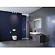 Заказать Унитаз-биде Geberit AquaClean Sela 146.224.11.1 подвесной с сиденьем Микролифт в магазине сантехники Santeh-Crystal.ru
