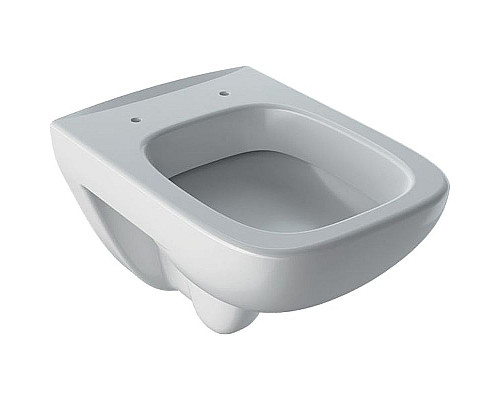 Купить Унитаз Geberit Renova Nr.1 Comprimo New 206145000 подвесной без сиденья Белый в магазине сантехники Santeh-Crystal.ru