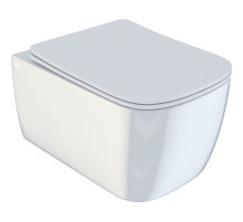 Унитаз Iddis Bridge BRIRDSEi25 подвесной с сиденьем Микролифт