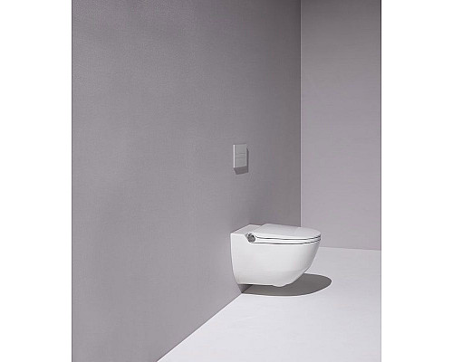 Купить Унитаз биде Laufen Cleanet Riva Rimless 8.2069.1 подвесной с сиденьем Микролифт в магазине сантехники Santeh-Crystal.ru