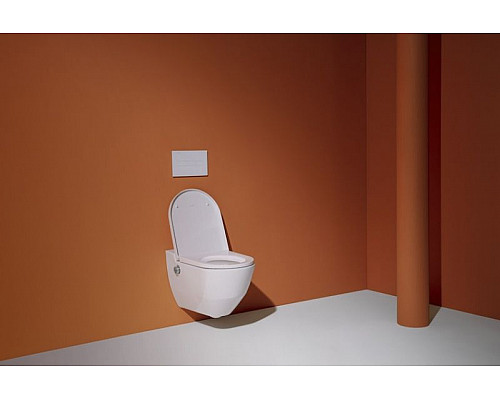 Приобрести Унитаз биде Laufen Navia 8.2060.1.400.000.1 подвесной с сиденьем в магазине сантехники Santeh-Crystal.ru