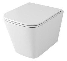 Унитаз Owl 1975 Vatter OWLT190403S подвесной с сиденьем Микролифт