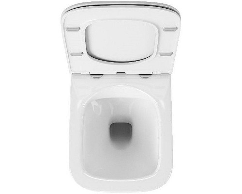 Santeh-Crystal.ru: Унитаз Owl 1975 Vatter OWLT190403S подвесной с сиденьем Микролифт Купить Унитаз Owl 1975 Vatter OWLT190403S подвесной с сиденьем Микролифт в магазине сантехники Santeh-Crystal.ru
