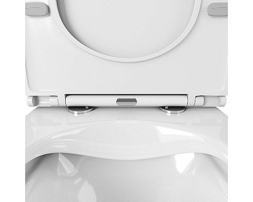 Santeh-Crystal.ru: Унитаз Owl 1975 Vatter OWLT190403S подвесной с сиденьем Микролифт Купить Унитаз Owl 1975 Vatter OWLT190403S подвесной с сиденьем Микролифт в магазине сантехники Santeh-Crystal.ru