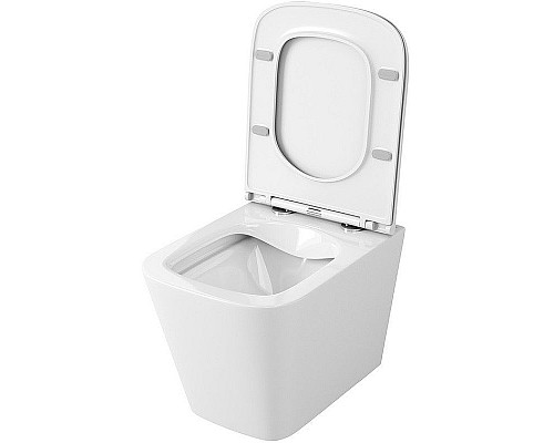 Santeh-Crystal.ru: Унитаз Owl 1975 Vatter OWLT190403S подвесной с сиденьем Микролифт Купить Унитаз Owl 1975 Vatter OWLT190403S подвесной с сиденьем Микролифт в магазине сантехники Santeh-Crystal.ru