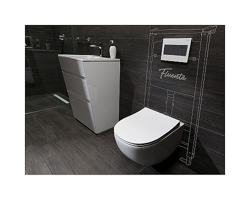 Santeh-Crystal.ru: Унитаз Pestan Fluenta Rimless 40006661 подвесной с сидением Микролифт Заказать Унитаз Pestan Fluenta Rimless 40006661 подвесной с сидением Микролифт в магазине сантехники Santeh-Crystal.ru