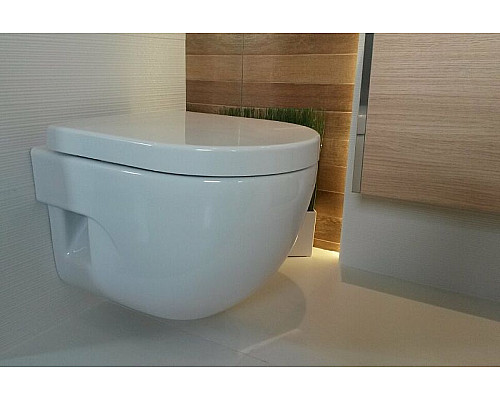 Santeh-Crystal.ru: Унитаз Roca Meridian 346248000 подвесной без сиденья Заказать Унитаз Roca Meridian 346248000 подвесной без сиденья в магазине сантехники Santeh-Crystal.ru