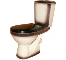 Унитаз компакт Rosa Комфорт 4620008191034 Черный декор с бачком и сиденьем