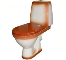 Унитаз компакт Rosa Премьер 4620008191164 Коричневый декор с бачком и сиденьем