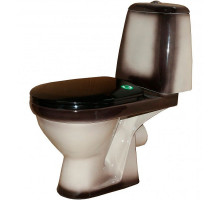 Унитаз компакт Rosa Премьер 4620008191188 Черный декор с бачком и сиденьем