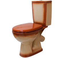 Унитаз компакт Rosa Уют 4630055558797 Коричневый декор с бачком и сиденьем