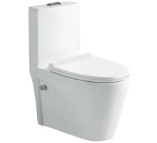 Унитаз биде SantiLine SL-5012SM-BD с сиденьем Микролифт