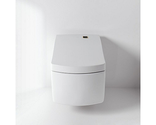 Santeh-Crystal.ru: Унитаз Toto Neorest CW996PVD#NW1 подвесной без сиденья Заказать Унитаз Toto Neorest CW996PVD#NW1 подвесной без сиденья в магазине сантехники Santeh-Crystal.ru