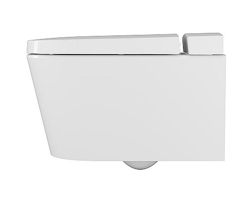 Заказать Унитаз биде Vitra Nest 5176B003-6233 подвесной с сиденьем Микролифт в магазине сантехники Santeh-Crystal.ru