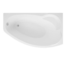 Акриловая ванна Aquanet Sofia 170x100 R 204041 без гидромассажа