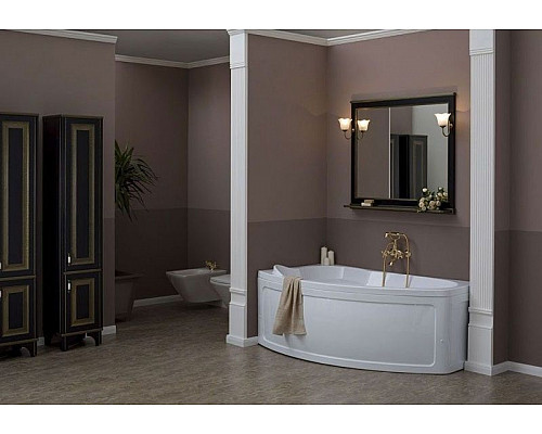 Заказать Акриловая ванна Aquanet Sofia 170x100 L 204039 + 242139 без гидромассажа в магазине сантехники Santeh-Crystal.ru