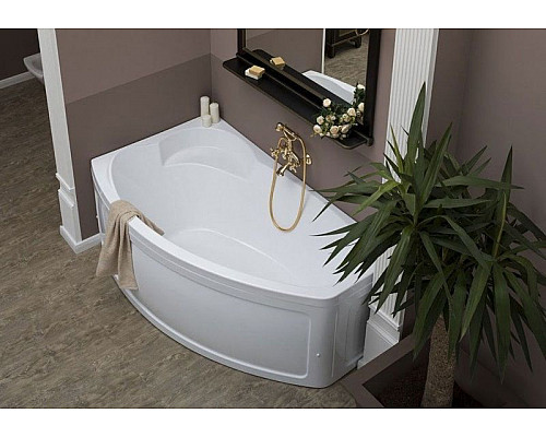 Заказать Акриловая ванна Aquanet Sofia 170x100 L 204039 + 242139 без гидромассажа в магазине сантехники Santeh-Crystal.ru
