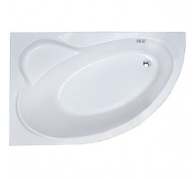 Акриловая ванна Royal Bath Alpine 170x100 L RB819102L без гидромассажа