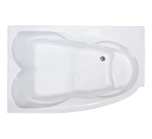 Акриловая ванна Royal Bath Shakespeare 170x110 RB652100SB-L без гидромассажа