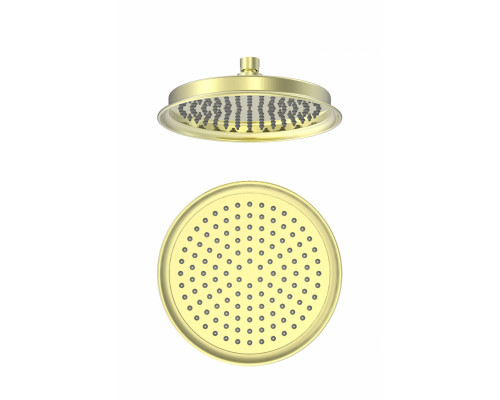 Заказать Тропическая лейка для душа WONZON & WOGHAND, Брашированное золото (WW-88DP05-BG) в магазине сантехники Santeh-Crystal.ru