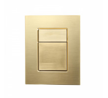 Кнопка смыва для инсталляции WONZON & WOGHAND, Брашированное золото (WW-IB256-BG)