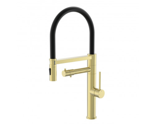 Приобрести Смеситель для кухни с гибким изливом и подключением фильтра WONZON & WOGHAND, Брашированное золото (WW-88458007-BG) в магазине сантехники Santeh-Crystal.ru