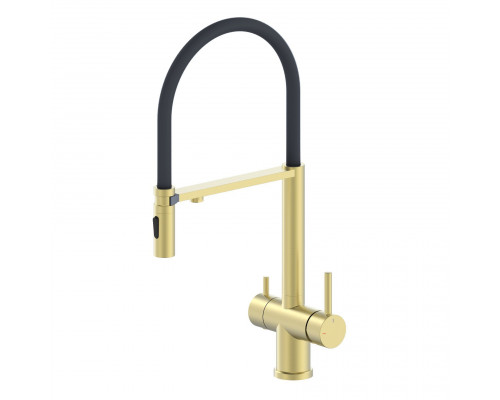 Купить Смеситель для кухни с гибким изливом и подключением фильтра WONZON & WOGHAND, Брашированное золото (WW-88458009-BG) в магазине сантехники Santeh-Crystal.ru