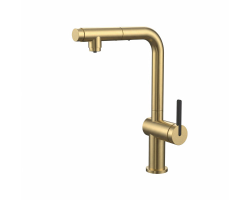 Смеситель для кухни с выдвижным изливом и подключением фильтра WONZON & WOGHAND, Брашированное золото (WW-8020294-BG)