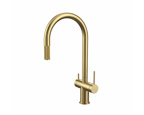 Смеситель для кухни с выдвижным изливом и подключением фильтра WONZON & WOGHAND, Брашированное золото (WW-8020295-BG)