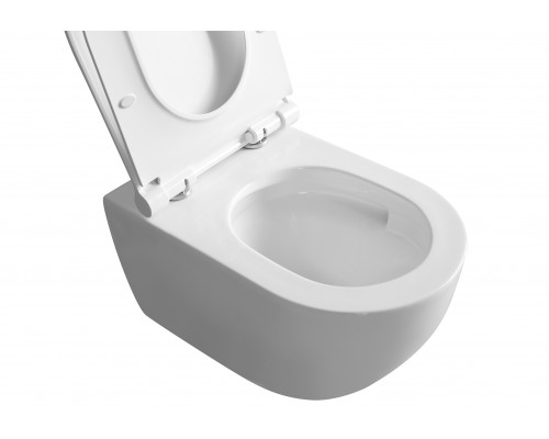 Унитаз подвесной безободковый WONZON & WOGHAND NILE, белый глянцевый (WW-UP2210-GW)