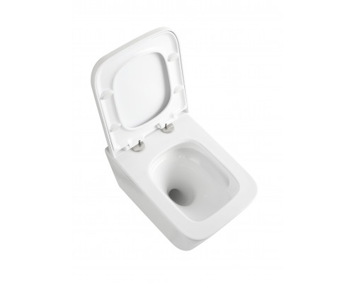 Унитаз подвесной безободковый WONZON & WOGHAND RONA, белый глянцевый (WW-UP2216-GW)