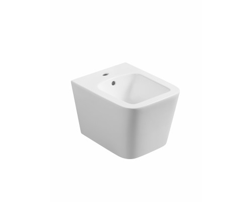 Биде подвесное WONZON & WOGHAND RONA, белый глянцевый (WW-UB5154-GW)