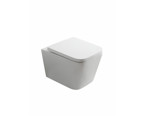 Унитаз подвесной безободковый WONZON & WOGHAND RONA, белый глянцевый (WW-UP2216-GW)