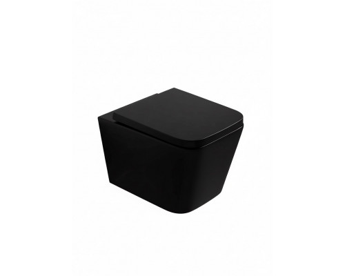 Унитаз подвесной безободковый WONZON & WOGHAND RONA, черный матовый (WW-UP2216-MB)