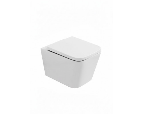 Унитаз подвесной безободковый WONZON & WOGHAND RONA, белый матовый (WW-UP2216-MW)