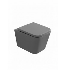 Унитаз подвесной безободковый WONZON & WOGHAND RONA, серый матовый (WW-UP2216-MG)
