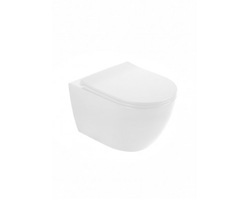 Унитаз подвесной безободковый WONZON & WOGHAND NILE, белый матовый (WW-UP2210-MW)