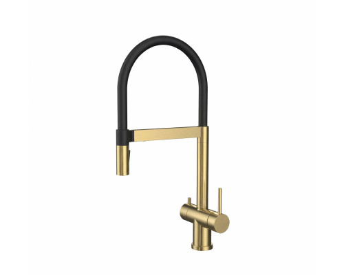 Смеситель для кухни c гибким изливом и подключением фильтра WONZON & WOGHAND, Брашированное золото (WW-8020306-BG)