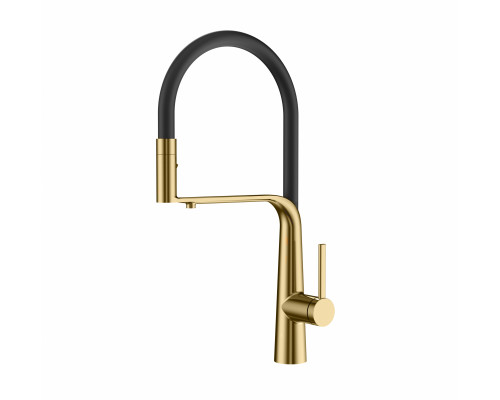 Смеситель для кухни с гибким изливом и подключением фильтра WONZON & WOGHAND, Брашированное золото (WW-8020293-BG)