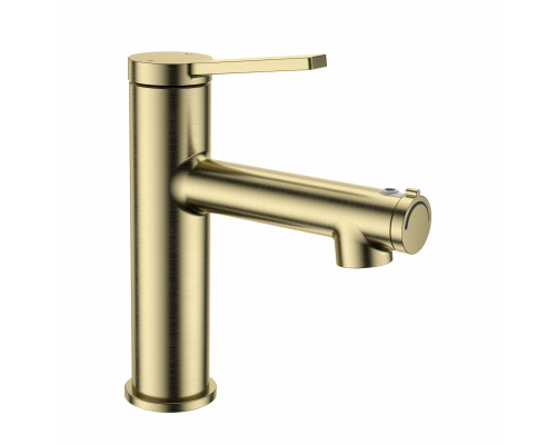 Купить Смеситель для раковины с функцией полоскания WONZON & WOGHAND, Брашированное золото (WW-H1017-BG) в магазине сантехники Santeh-Crystal.ru