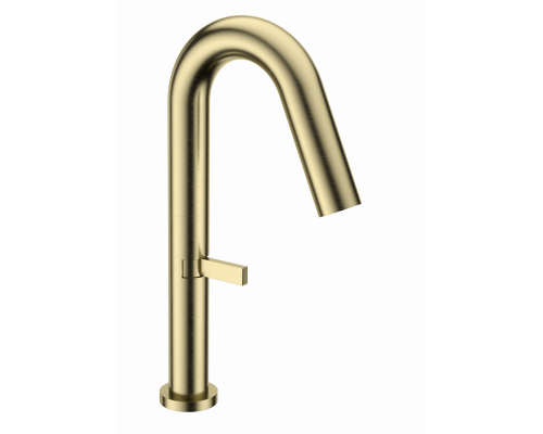 Смеситель для раковины высокий WONZON & WOGHAND, Брашированное золото (WW-6068-BG)