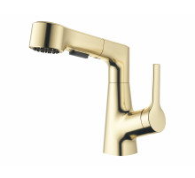 Смеситель для раковины с выдвижным изливом WONZON & WOGHAND, Брашированное золото (WW-121B108-BG)