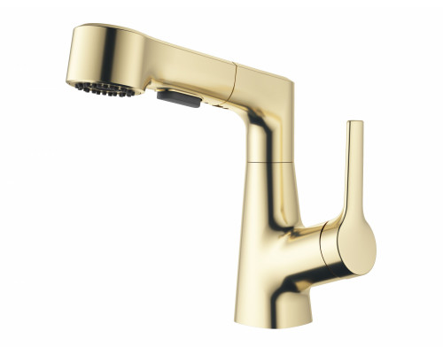 Заказать Смеситель для раковины с выдвижным изливом WONZON & WOGHAND, Брашированное золото (WW-121B108-BG) в магазине сантехники Santeh-Crystal.ru