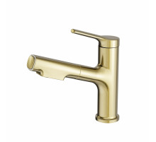 Смеситель для раковины с выдвижным изливом WONZON & WOGHAND, Брашированное золото (WW-A40862-BG)