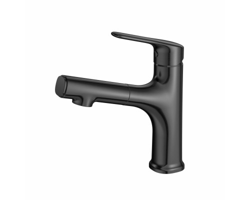 Приобрести Смеситель для раковины с выдвижным изливом WONZON & WOGHAND, Темный графит (WW-AE4151-BGG) в магазине сантехники Santeh-Crystal.ru