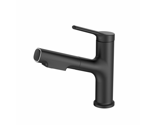 Приобрести Смеситель для раковины с выдвижным изливом WONZON & WOGHAND, Черный матовый (WW-A40862-MB) в магазине сантехники Santeh-Crystal.ru