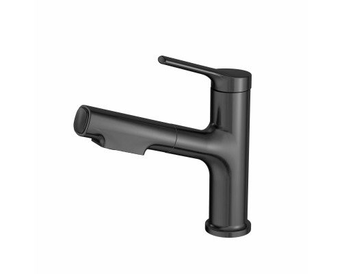 Приобрести Смеситель для раковины с выдвижным изливом WONZON & WOGHAND, Темный графит (WW-A40862-BGG) в магазине сантехники Santeh-Crystal.ru