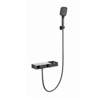 Смеситель для ванны с душем и термостатом WONZON & WOGHAND, Темный графит (WW-B2551-BGG)