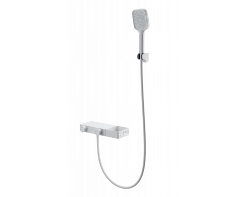 Смеситель для ванны с душем и термостатом WONZON & WOGHAND, Белый матовый (WW-B2551-MW)